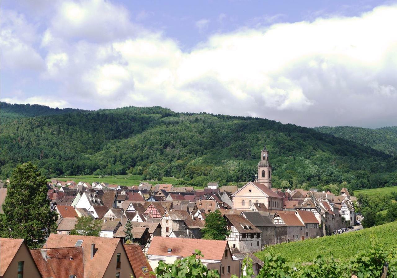 Gite L'Agape Riquewihr Kültér fotó